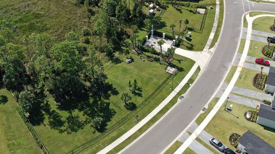 The Timbers at Everlands: The Grand Collection 82