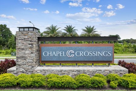 Chapel Crossings by M/I Homes in Wesley Chapel - photo 28 28