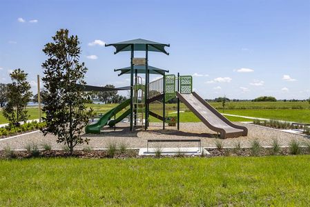 Lake Mattie Preserve Townhomes 6