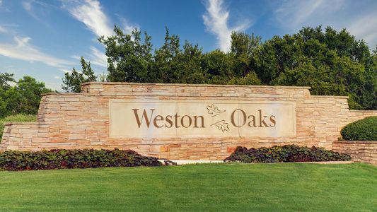 Weston Oaks 55' by Perry Homes in San Antonio - photo 2 2