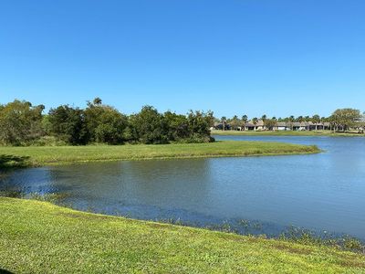 Tea Olive Terrace at the Fairways by William Ryan Homes in Palmetto - photo 3 3