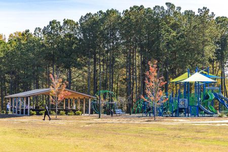 Prince Place by Davidson Homes LLC in Angier - photo