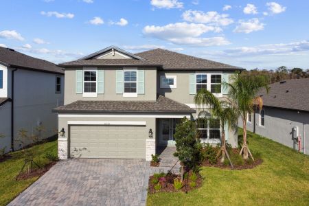 K-Bar Ranch Gilded Woods by M/I Homes in Tampa - photo 46 46