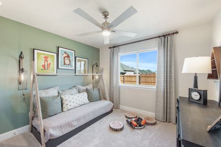 Meadow Vista 50-55 16