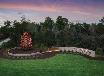 Evergreen by Highland Homes in Conroe - image 13