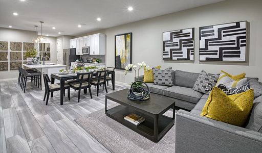 Urban Collection at Looking Glass by Richmond American Homes in Parker - photo 30 30