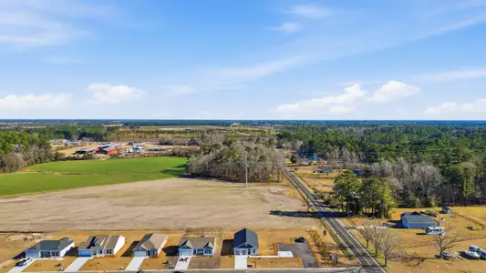 Briarfield by Great Southern Homes in Conway - image