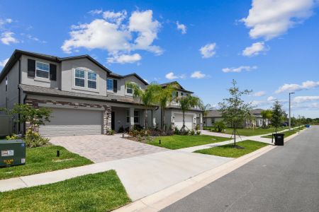 Cobblestone by M/I Homes in Zephyrhills - photo 16 16