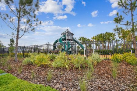 Berry Bay by M/I Homes in Wimauma - photo 29 29