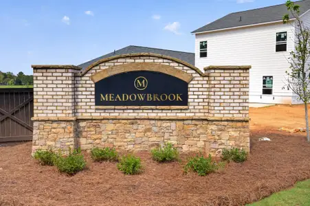 Meadowbrook by Smith Douglas Homes in Cartersville - image
