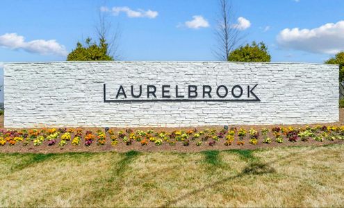 The Meadows at Laurelbrook by Eastwood Homes in Sherrills Ford - image