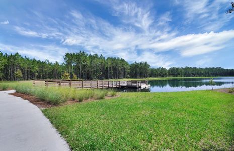 Hawthorn Park at Wildlight by Pulte Homes in Wildlight - photo 10 10