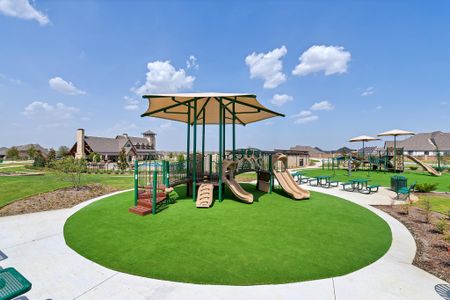 Star Trail by American Legend Homes in Prosper - image 16