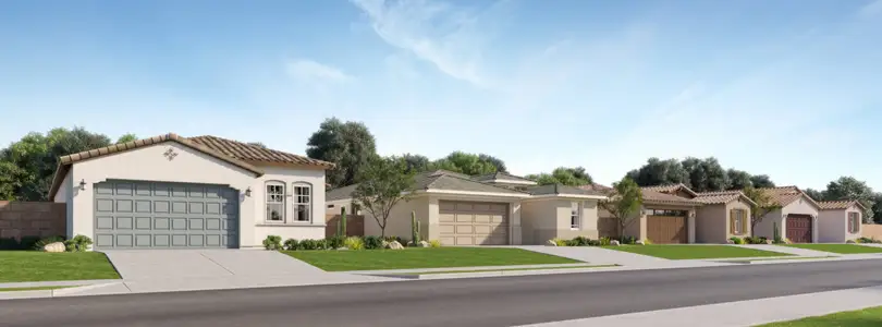 Asante Artisan: Discovery 1