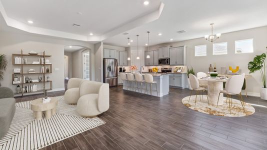 Coral Bay - Express & Tradition by D.R. Horton in North Fort Myers - image 5