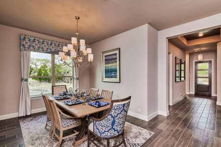 Elkhorn Ridge by Princeton Classic Homes in Fair Oaks Ranch - photo 17 17