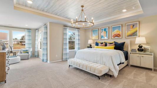 Cooper Park by DRB Homes in Mcdonough - photo 52 52