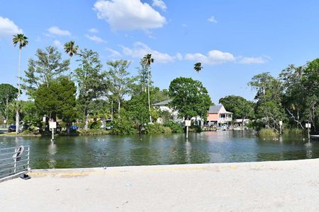 Whiting Estates by William Ryan Homes in Spring Hill - photo 8 8