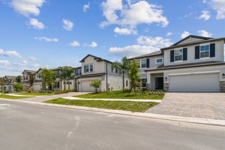 K-Bar Ranch Gilded Woods by M/I Homes in Tampa - photo 17 17