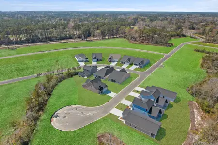 Creekview Landing by Dream Finders Homes in Shallotte - image