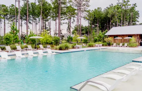 Heartwood by Centex in Richmond Hill - image 7