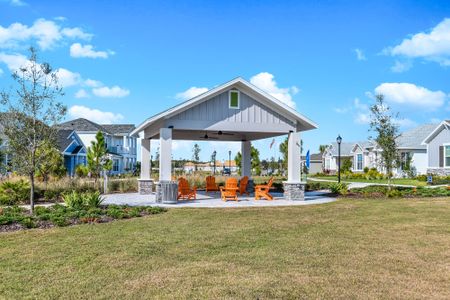 Persimmon Park - Garden Series by David Weekley Homes in Wesley Chapel - photo 52 52