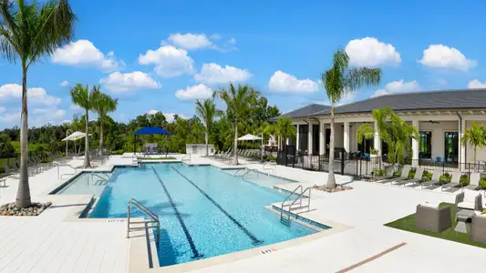 Vistera of Venice by Neal Communities in Nokomis - image 19