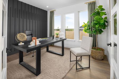 Painted Tree 50' by Coventry Homes in McKinney - image 8