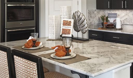 Whisper Valley by Richmond American Homes in Manor - image 18
