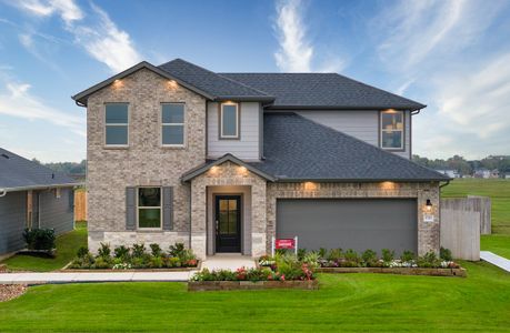 Sweetgrass Village: Landmark Collection by Beazer Homes in Crosby - photo 4 4