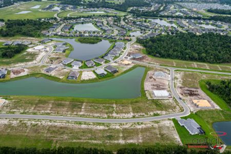 River Preserve Estates by William Ryan Homes in Parrish - image