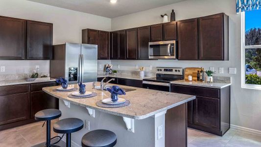 Angeline Townhomes by D.R. Horton in Land O' Lakes - photo 8 8