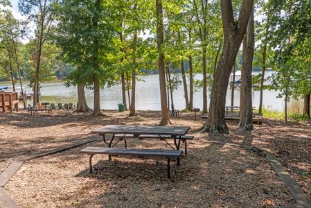 Solena at the Vineyards II by Meritage Homes in Charlotte - photo 10 10