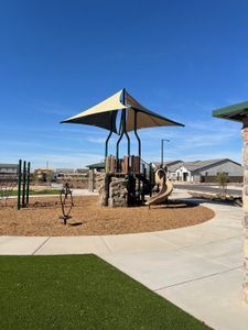 The Grove at El Cidro by William Ryan Homes in Goodyear - photo 10 10