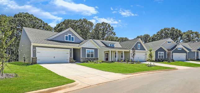Harriett Circle by Lennar in Anderson - image
