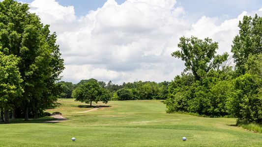 Tomlinson Pointe - Carlow 17