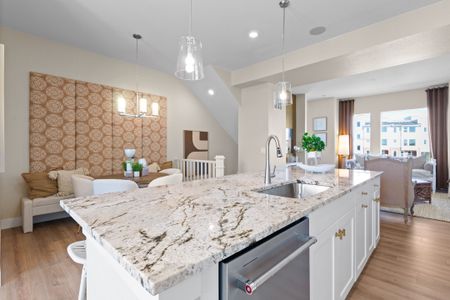 Dillon Pointe by Brightland Homes in Broomfield - photo 56 56