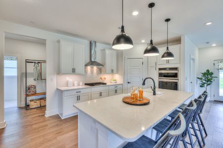 Ivey Farms - The Vintage Collection by Goodall Homes in Farragut - image 8