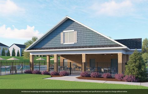 Pebble Branch by Mungo Homes in Chapin - image 13