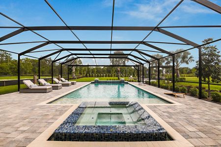 Creek Ridge Preserve by Homes by WestBay in Lithia - image 17