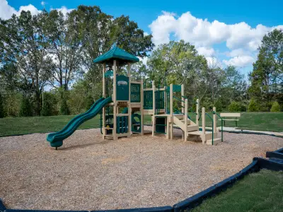 Seattle Crossing by Meritage Homes in Shelby - image