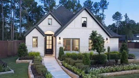 Woodhavyn 40' by Perry Homes in Magnolia - image