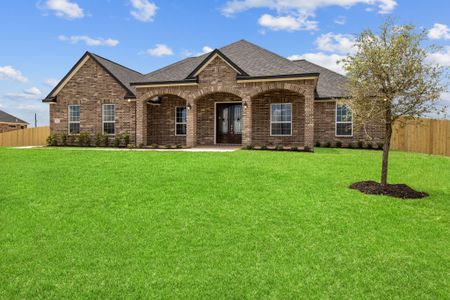 Blue Jay's Landing by Debo Homes in Needville - photo 5 5