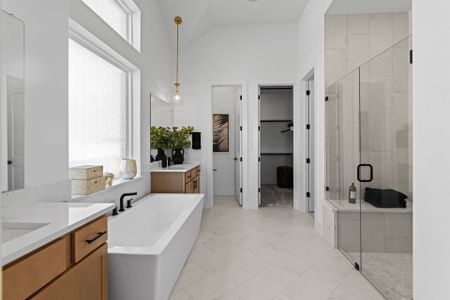 Blackhawk 60' by Coventry Homes in Pflugerville - image 17