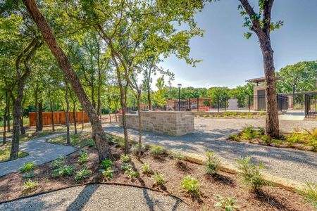 Prairie Oaks Gardens by David Weekley Homes in Little Elm - photo 6 6