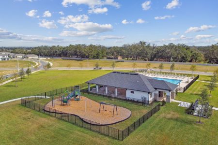 Hilltop Point by M/I Homes in Dade City - photo 57 57