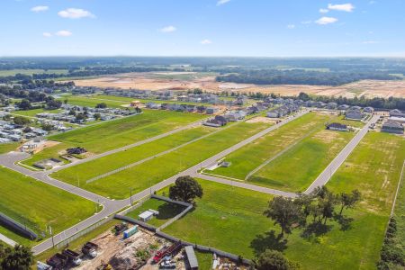 Hilltop Point by M/I Homes in Dade City - photo 7 7