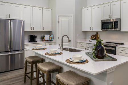 Mirada by Casa Fresca Homes in San Antonio - photo 9 9