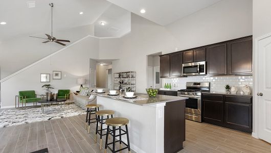 Lively Ranch by D.R. Horton in Georgetown - photo 60 60