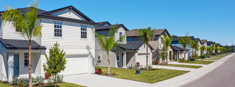 Crane Landing: Manor Homes 1